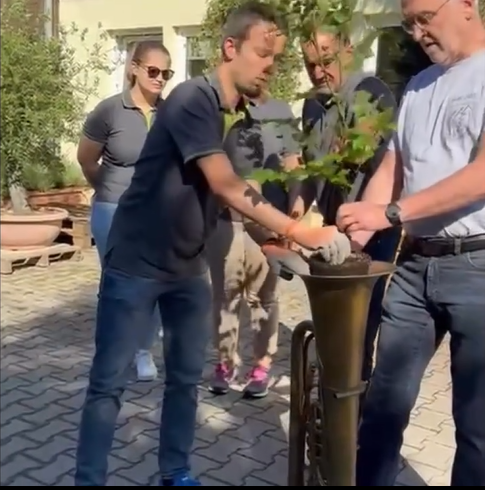 Baum-Pflanz-Challenge 2025
